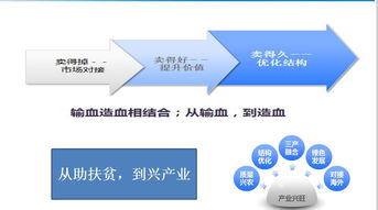 數(shù)字鄉(xiāng)村與農(nóng)產(chǎn)品網(wǎng)銷 對(duì)隴南模式升級(jí)的網(wǎng)絡(luò)技術(shù)服務(wù)新思考